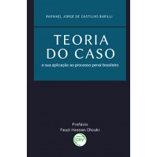 Teoria do caso e sua aplicação ao processo penal brasileiro
