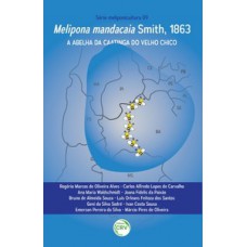 Melipona Mandacaia, smith 1863 Melipona Mandacaia, smith 1863