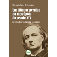 Um flâneur perdido na metrópole do século xix: Um flâneur perdido na metrópole do século xix: