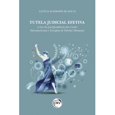 Tutela judicial efetiva: