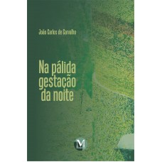 Na pálida gestação da noite