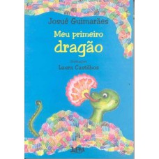 Meu primeiro dragão