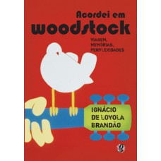 Acordei em woodstock