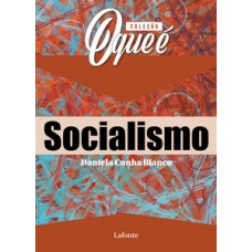 Coleção O Que É - Socialismo