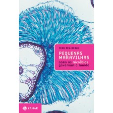 Pequenas maravilhas