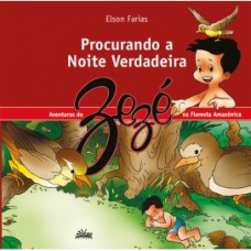 Procurando a Noite Verdadeira Procurando a Noite Verdadeira