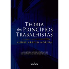 Teoria Dos Princípios Trabalhistas Aplicação Modelo Metodológico Pós-Positivista Ao Dto Do Trabalho