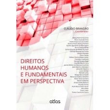 DIREITOS HUMANOS E FUNDAMENTAIS EM PERSPECTIVA - 1ª Edição 2014 DIREITOS HUMANOS E FUNDAMENTAIS EM PERSPECTIVA - 1ª Edição 2014
