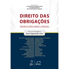 Direito das Obrigações - Reflexões no Direito Material e Processual