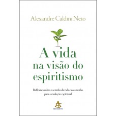 A vida na visão do espiritismo A vida na visão do espiritismo