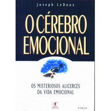 O cérebro emocional O cérebro emocional