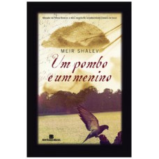 Um pombo e um menino Um pombo e um menino