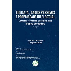 Big Data, dados pessoais e propriedade intelectual