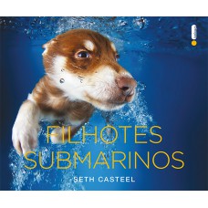 Filhotes submarinos Filhotes submarinos