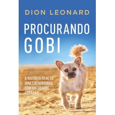Procurando Gobi
